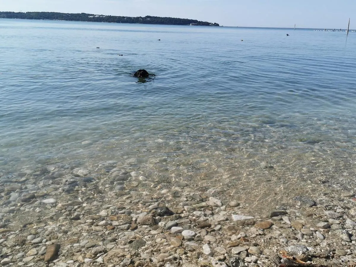 Lora Deluxe Superior 5 Star Apartment, Your Piece Of Heaven By The Sea & Park With Sea & Park View Novigrad Istria Apartment